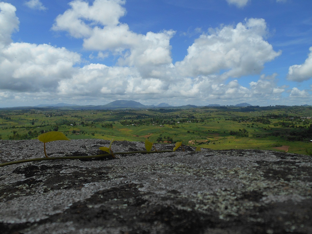landscape.jpg