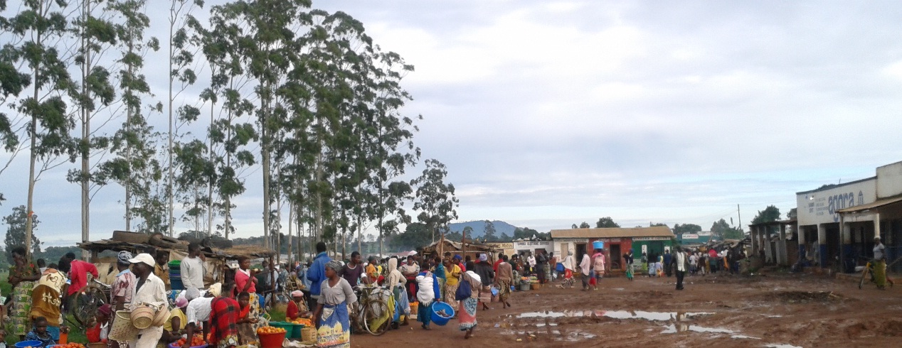 reggeli piac Bvumbwe - 7am.jpg