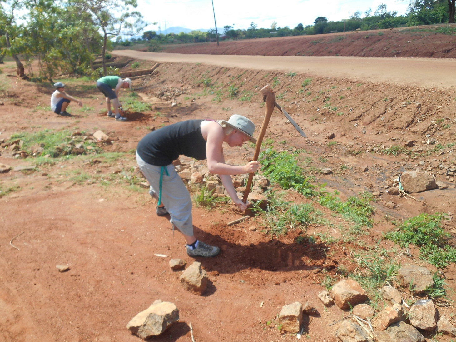 treeplanting.jpg