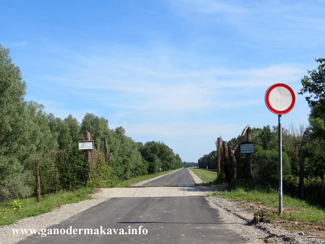 Ellentmondások a határ mindkét oldalán