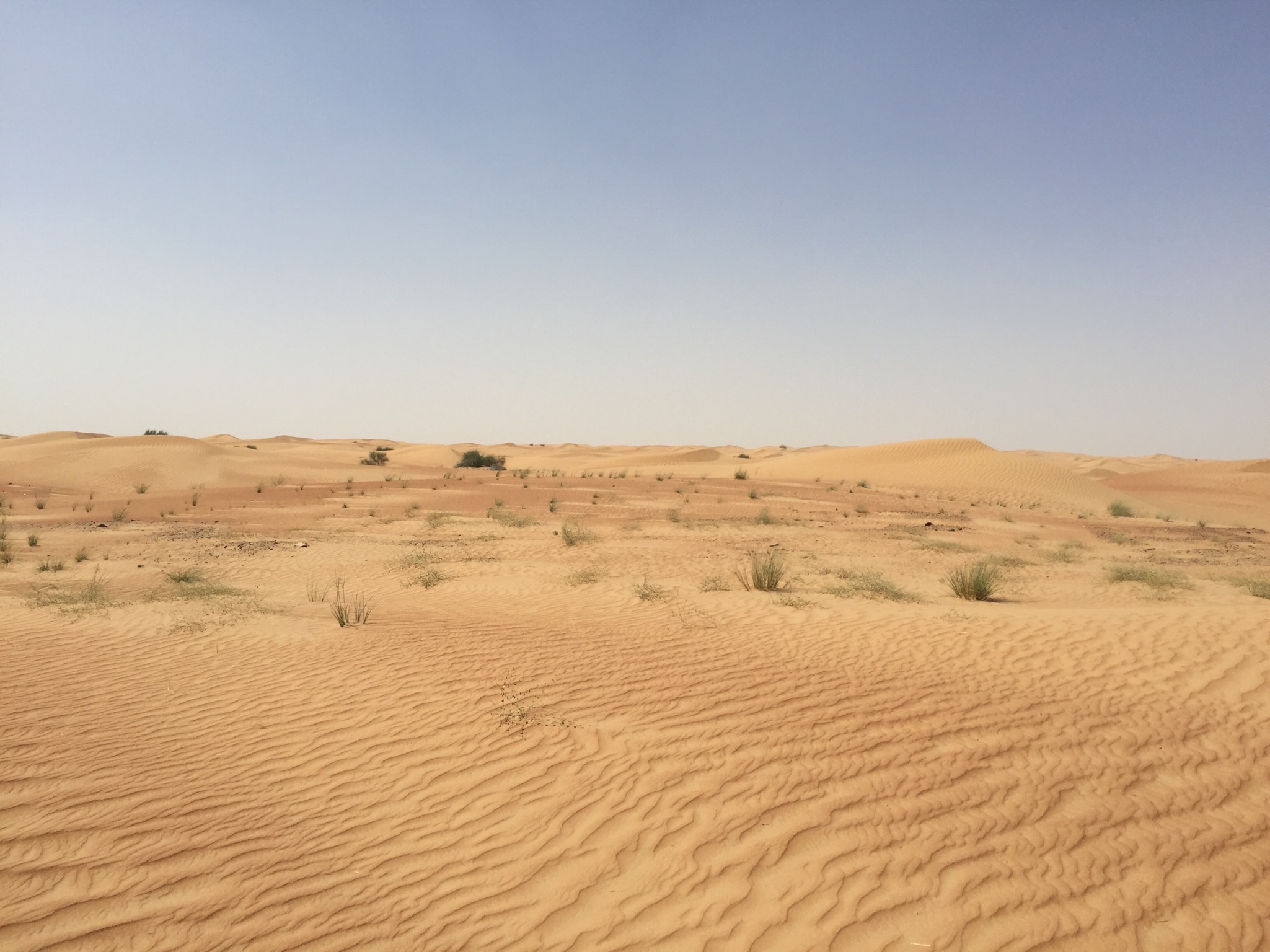 A végtelen sivatag