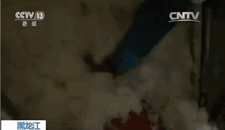 7.gif