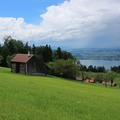 Látnivalók Zugban, utazás Luzernbe