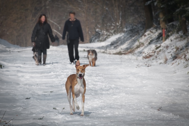 walking-in-the-snow.jpg