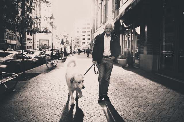 dog-walking-on-the-street.jpg