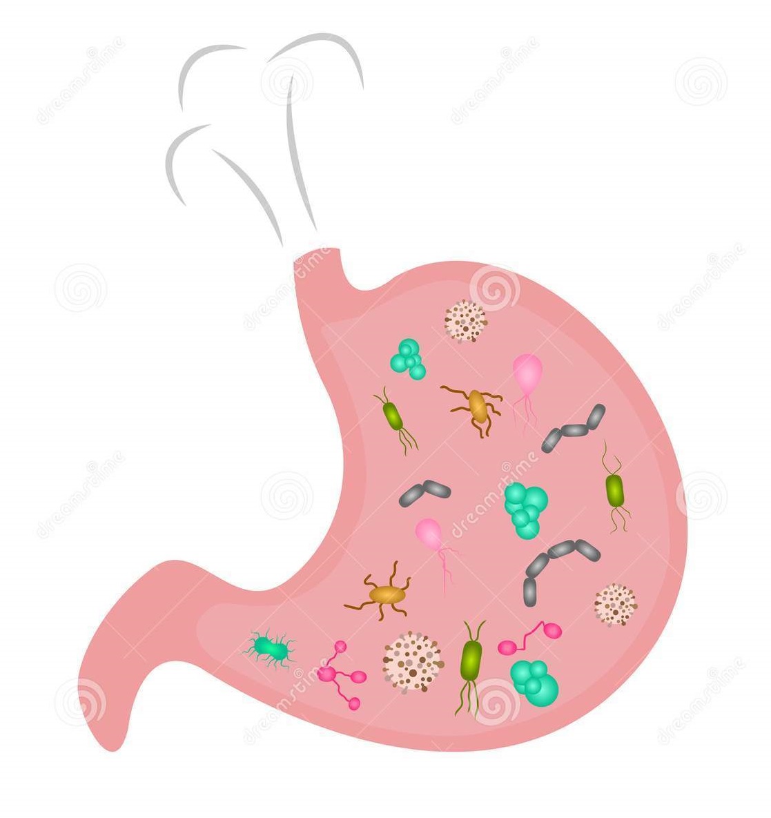 stomach-full-microbs-cartoon-sstyle-stomack-full-microbs-vector-illustration-cartoon-style-104726403_1.jpg