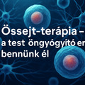 🧬 Őssejt-terápia – a test öngyógyító ereje