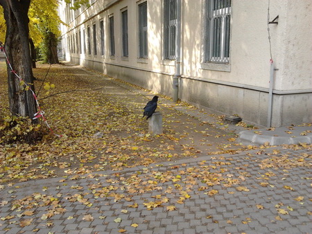 2011-10-30 10.46.51.jpg