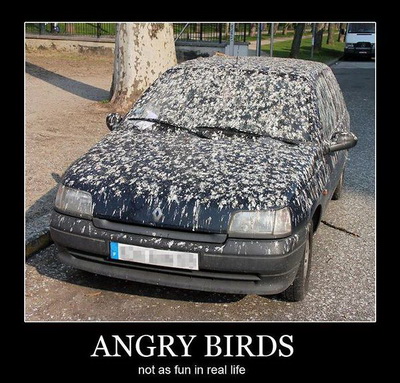 a.aaa-Angry-birds.jpg