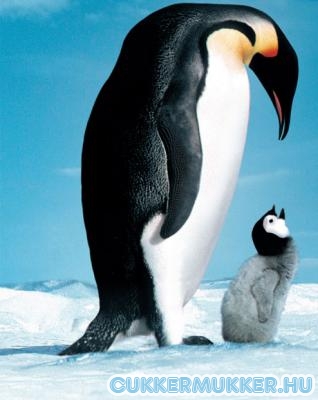 pingvin.jpg