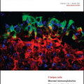 Új folyóirat: Mucosal Immunology