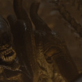Kérdések és válaszok az Alien világából 1. rész