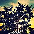Enjoy every sunset, look forward to every sunrise.