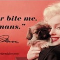 Marilyn Monroe kutyái