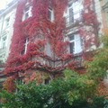 Szépséges ősz Karlsruhe-ben