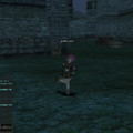 L2 Dawn Low Rate Interlude