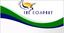 the_company_logo.jpg