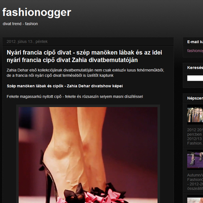 fashionogger divat blog