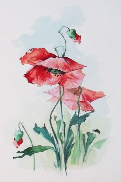 Pipacs virágok - akvarell kép jelzés nélkül - Szilárd Katicza rajzkönyv mappa akvarell munkái közül