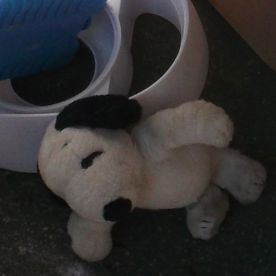 Snoopy az aszfalton