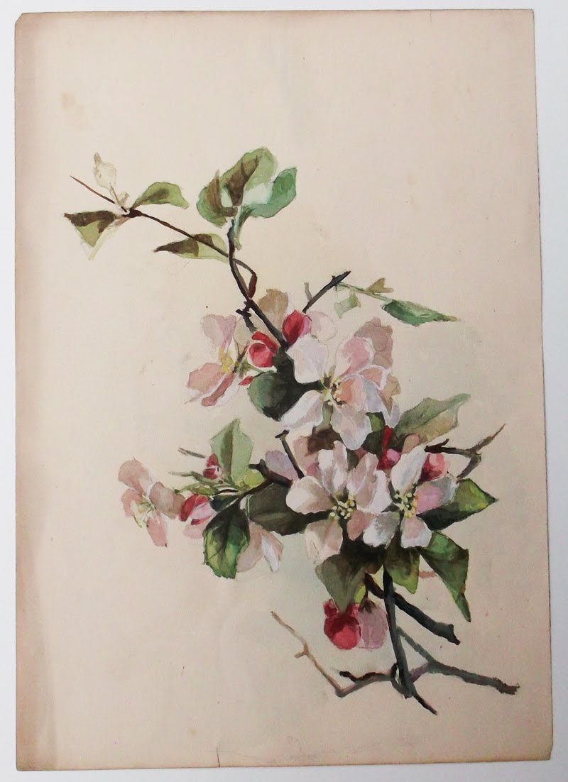 Virágzó almafa ág - akvarell festmény