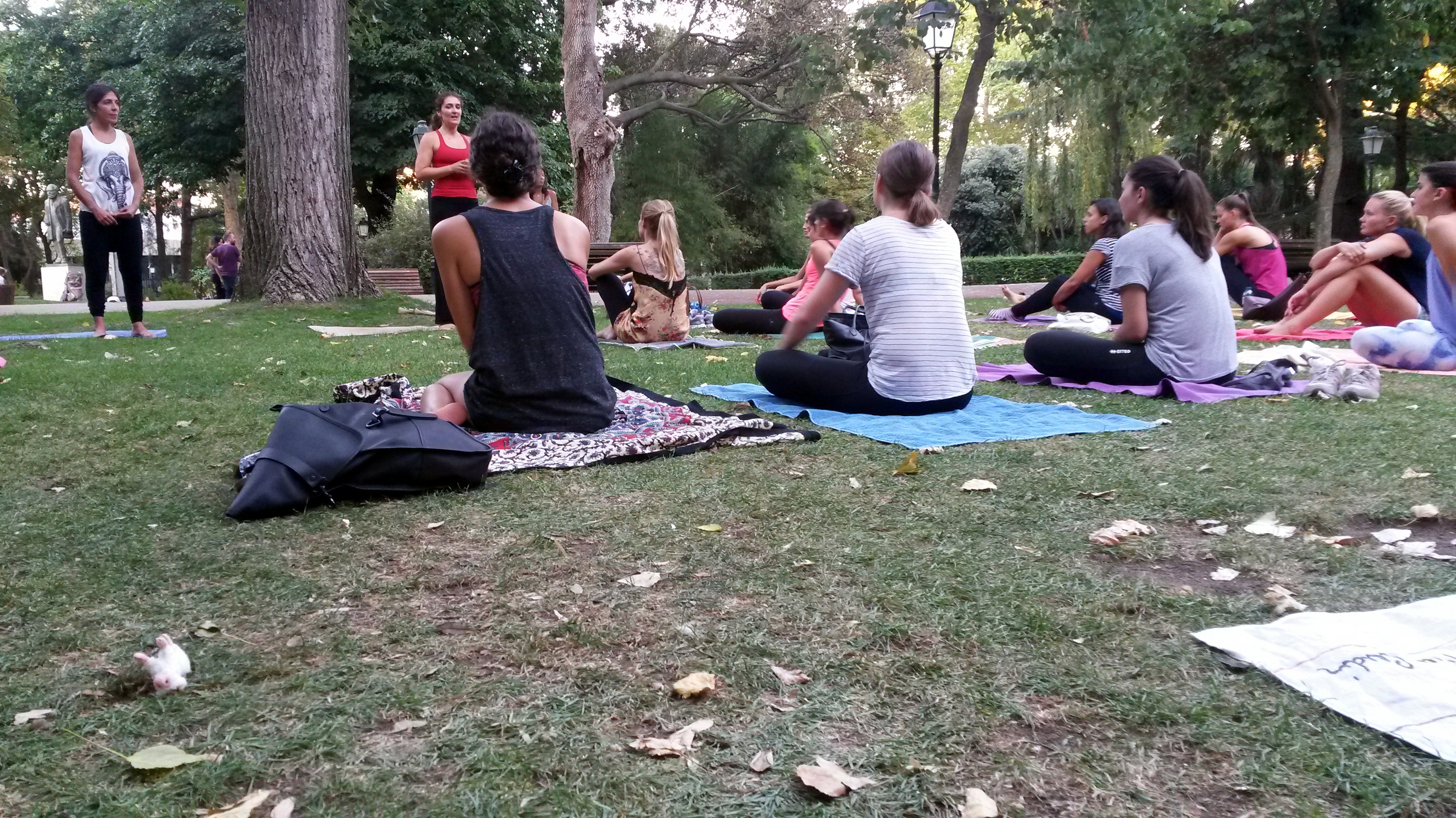 Ingyenes jóga a parkban