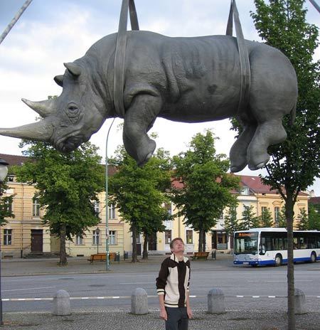 sculpture_Hanging-Rhino.jpg