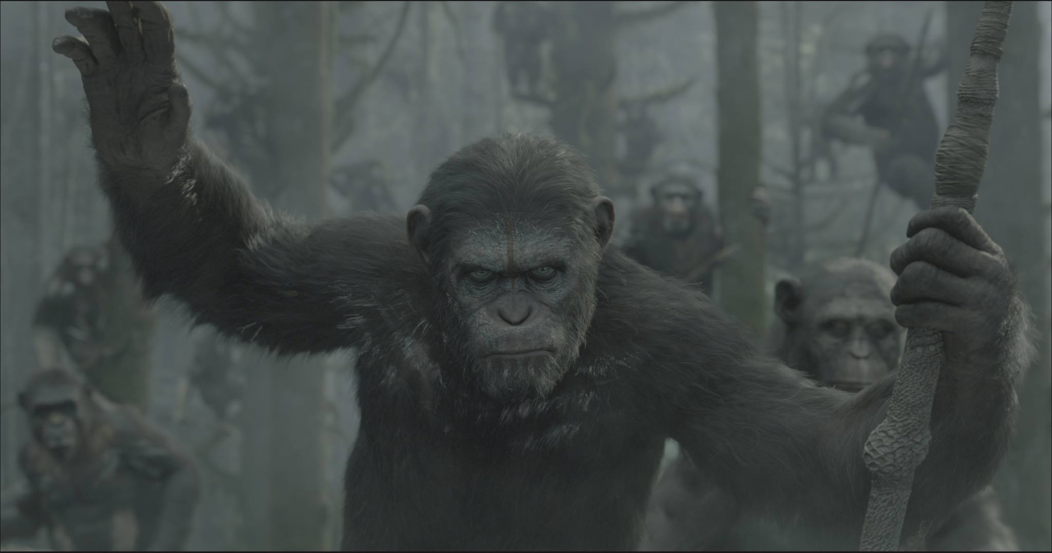 caesar-dawn-of-the-planet-of-the-apes.jpg