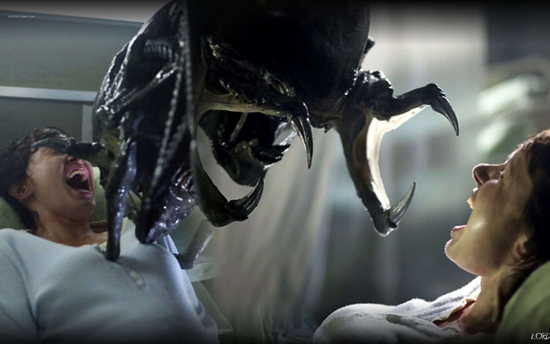 Aliens vs. Predator - A Halál a Ragadozó ellen 2. / AVPR: Aliens vs