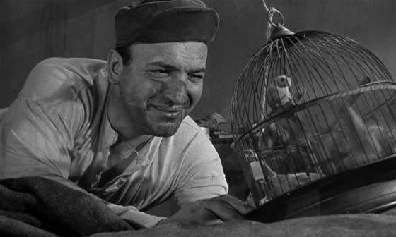 600full-birdman-of-alcatraz-.jpg.png