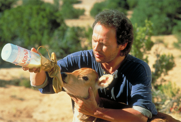 billy_crystal_city_slickers_movie_image.jpg