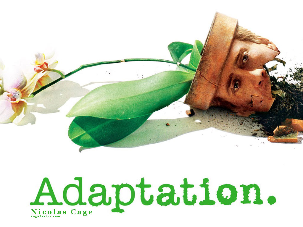 adaptation1_1024.jpg