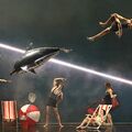 Mi rejtőzik a Finzi Pasca-mágia mögött?