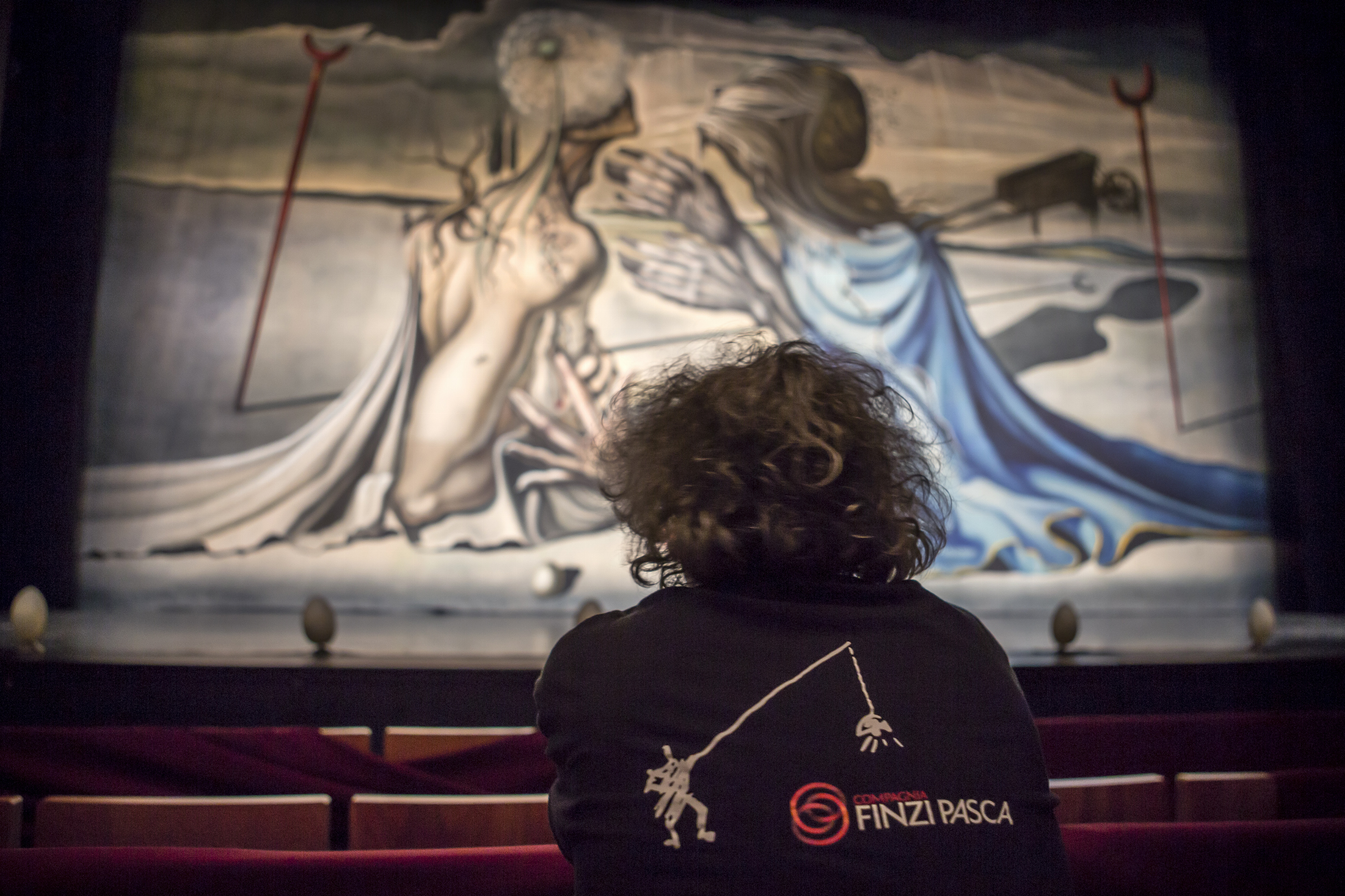 131115_finzi_pasca_tarsulat_la_verit_mupa_384565.jpg