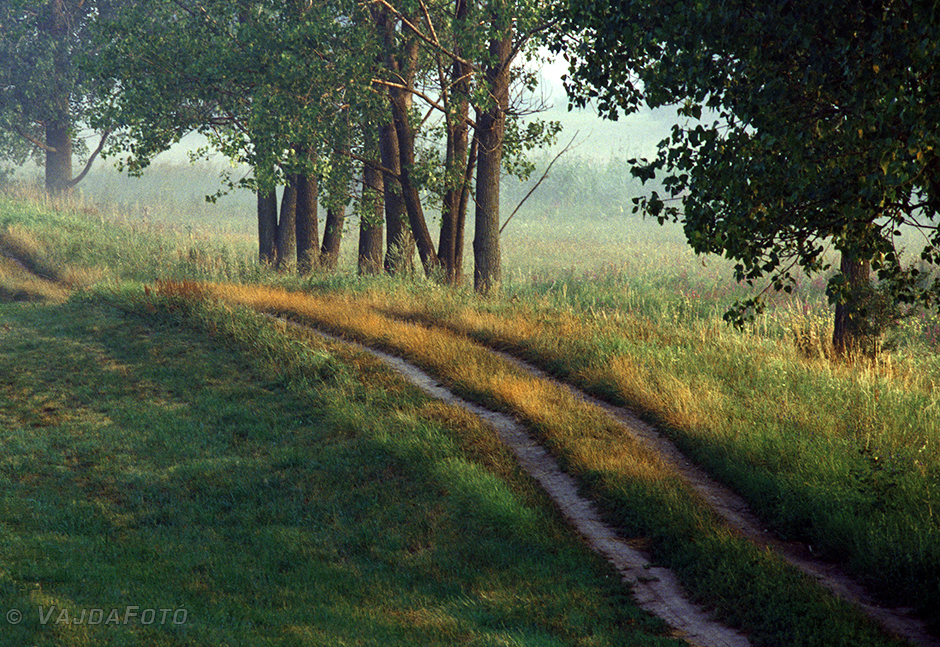 first_light.jpg