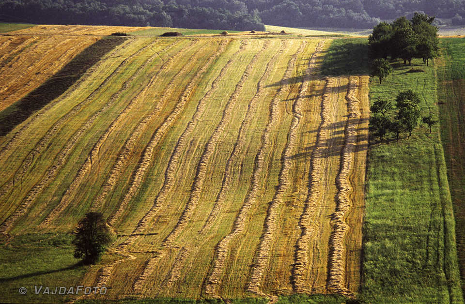 landscape.jpg