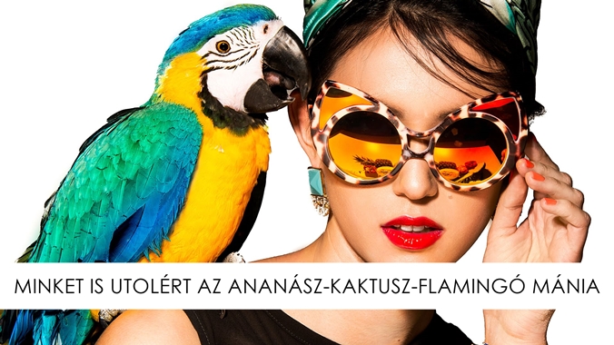 ananasz_cover.jpg