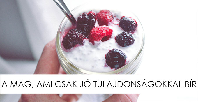 A MAG, AMI CSAK JÓ TULAJDONSÁGOKKAL BÍR