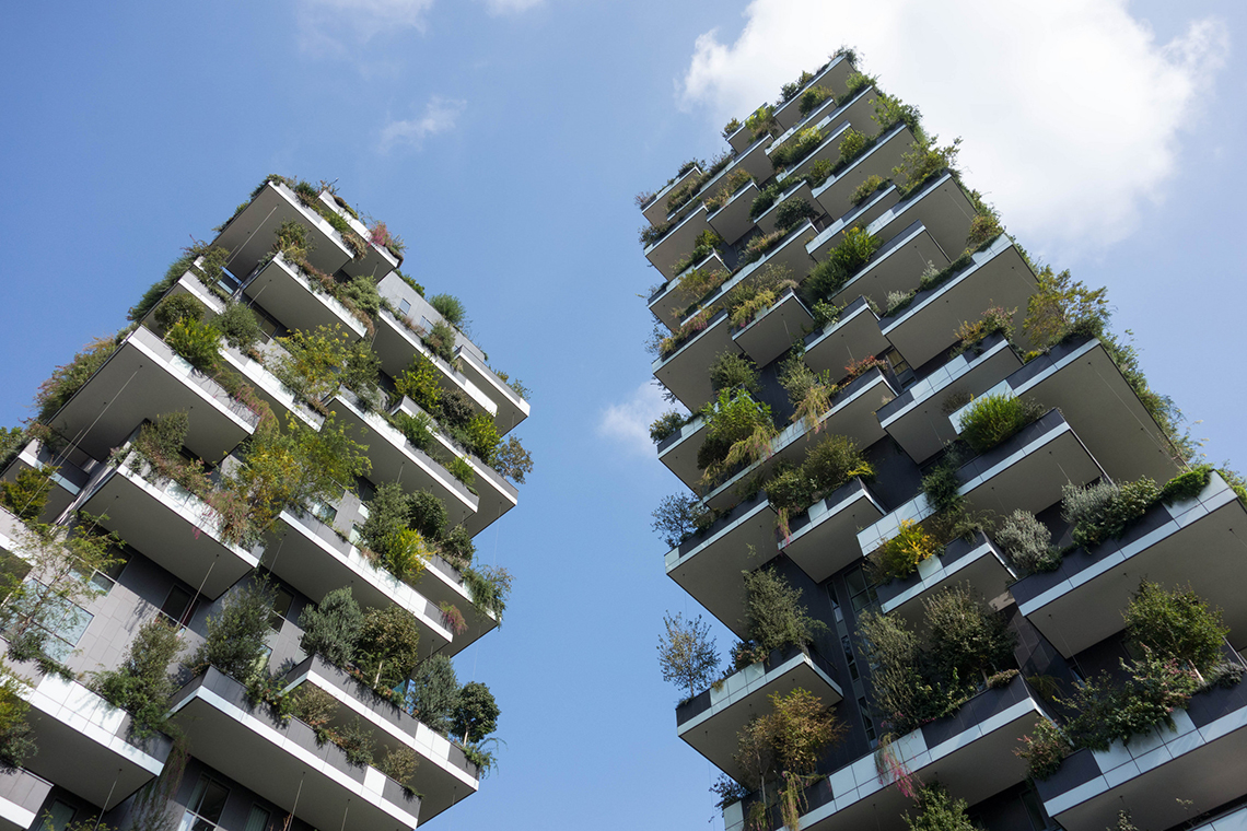 bosco-veritcale-lbf.jpg