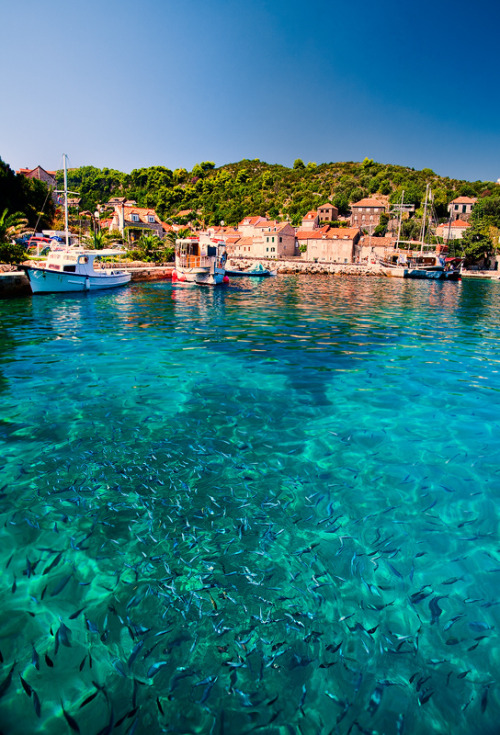 elafits_islands_croatia_by_jonathan_reid.jpg