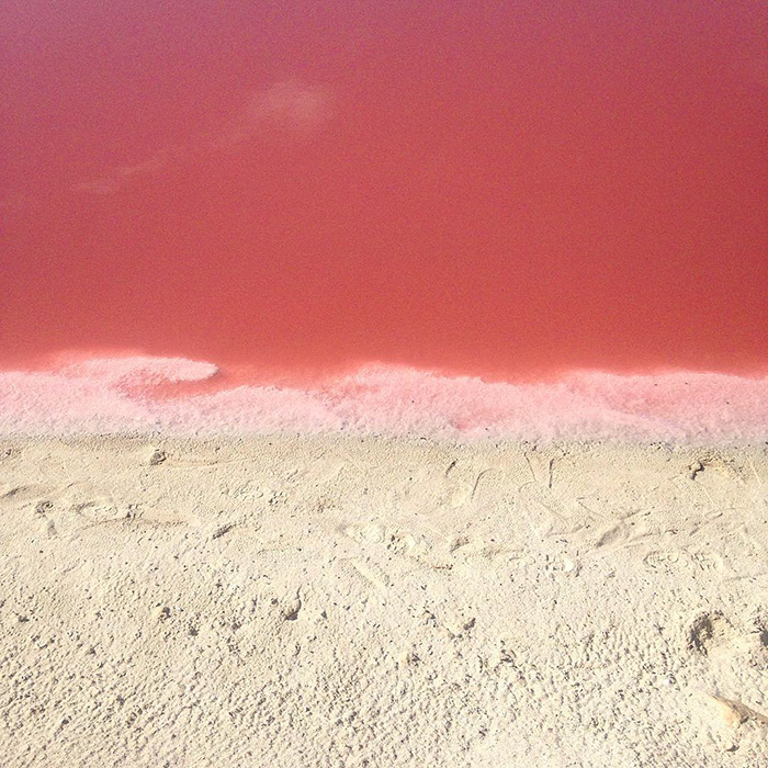 pink-lagoon-las-coloradas-mexico-18.jpg