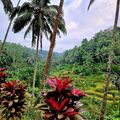 Bali, az Istenek szigete - bár gyakorlatilag megtelt, mégis megmaradt a csoda