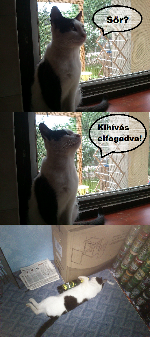 sör.png