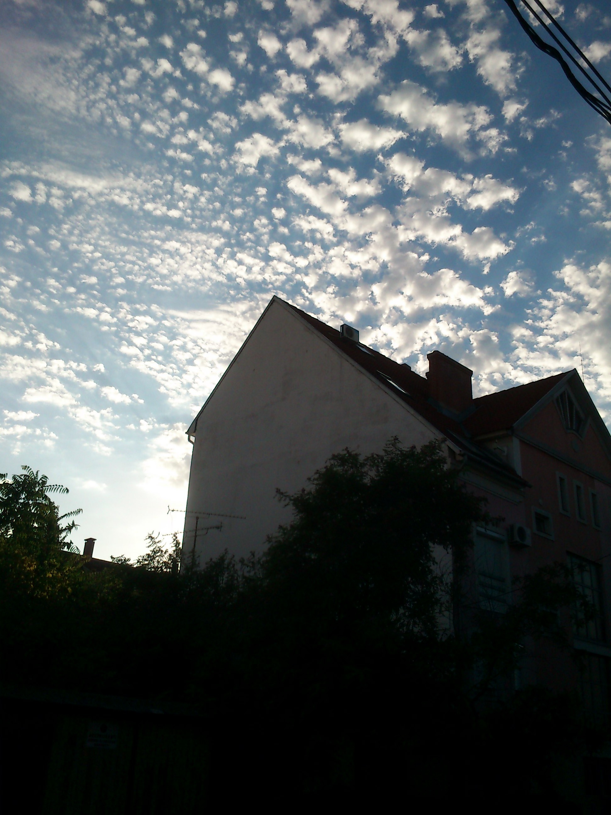 DSC_0042.JPG
