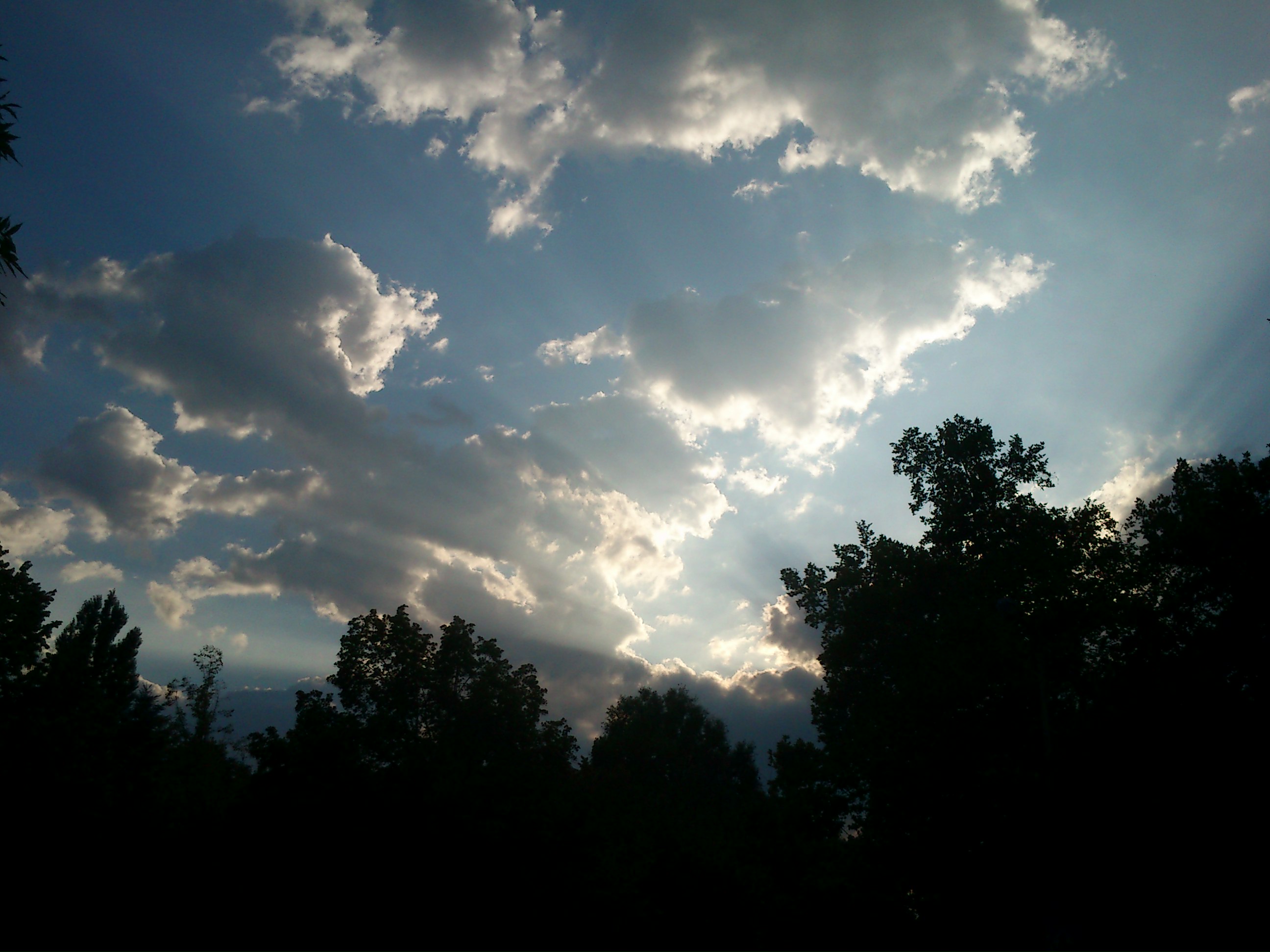 DSC_0083.JPG