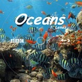 Saját készítésű címke - Oceans (Óceánok)