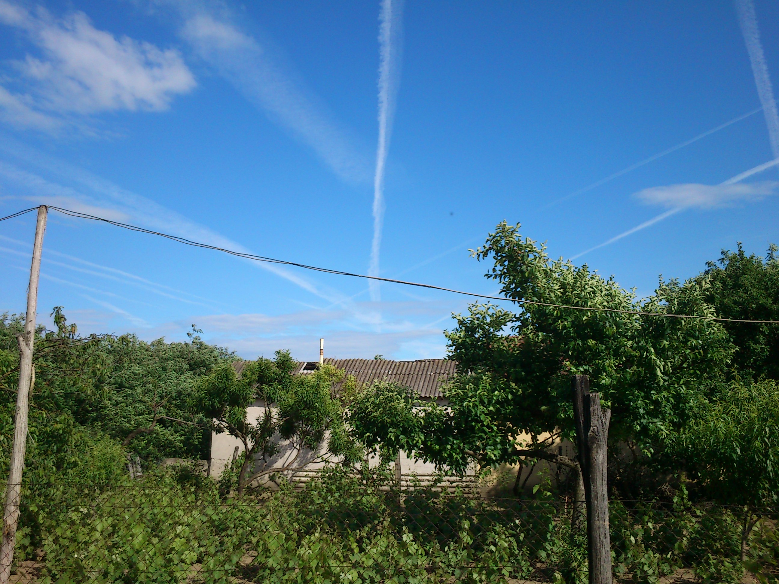 DSC_0046.JPG