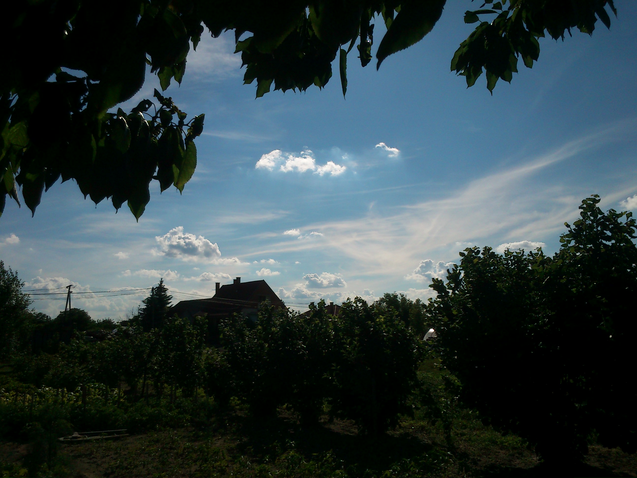 DSC_0063.JPG