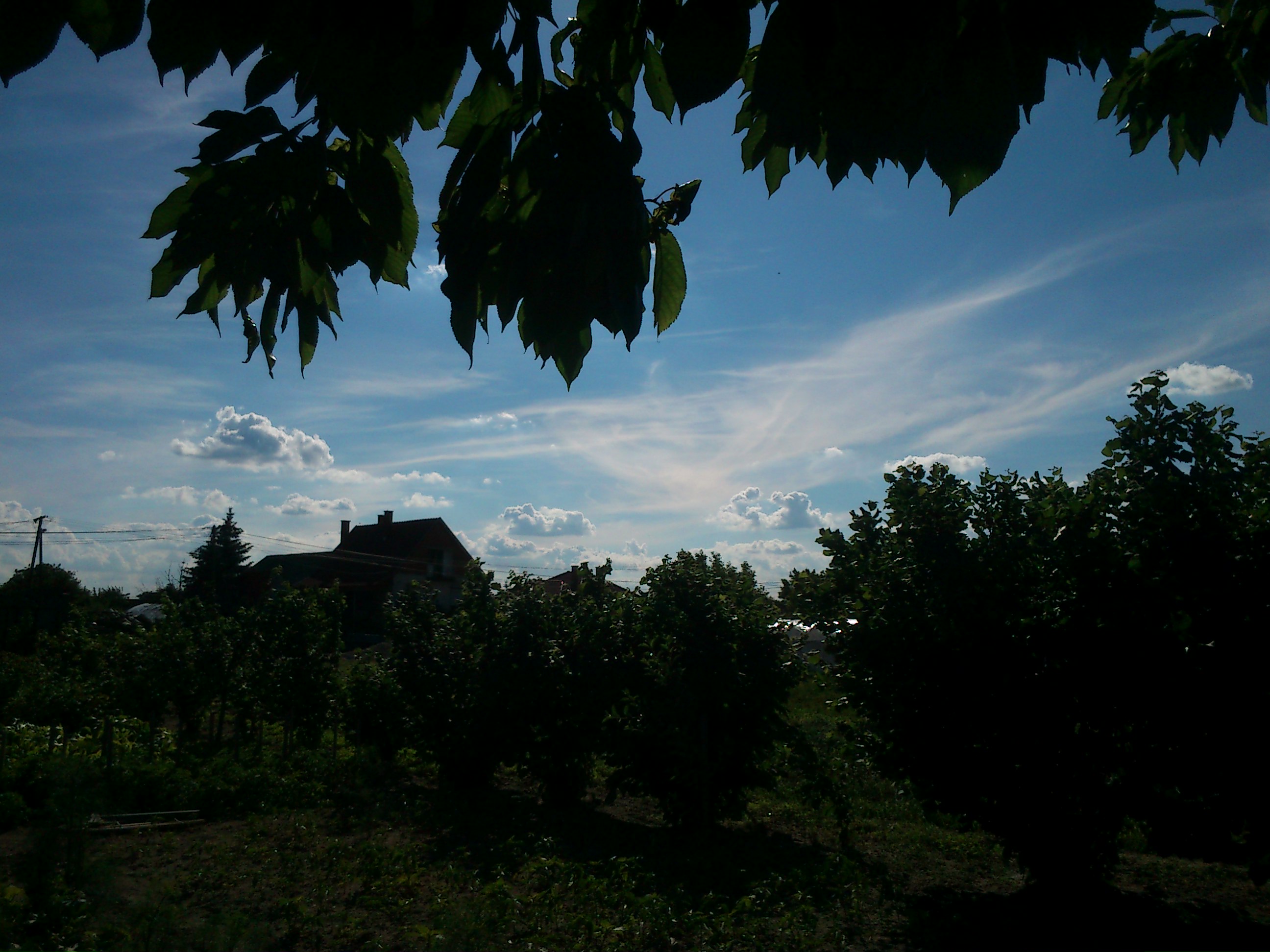 DSC_0065.JPG