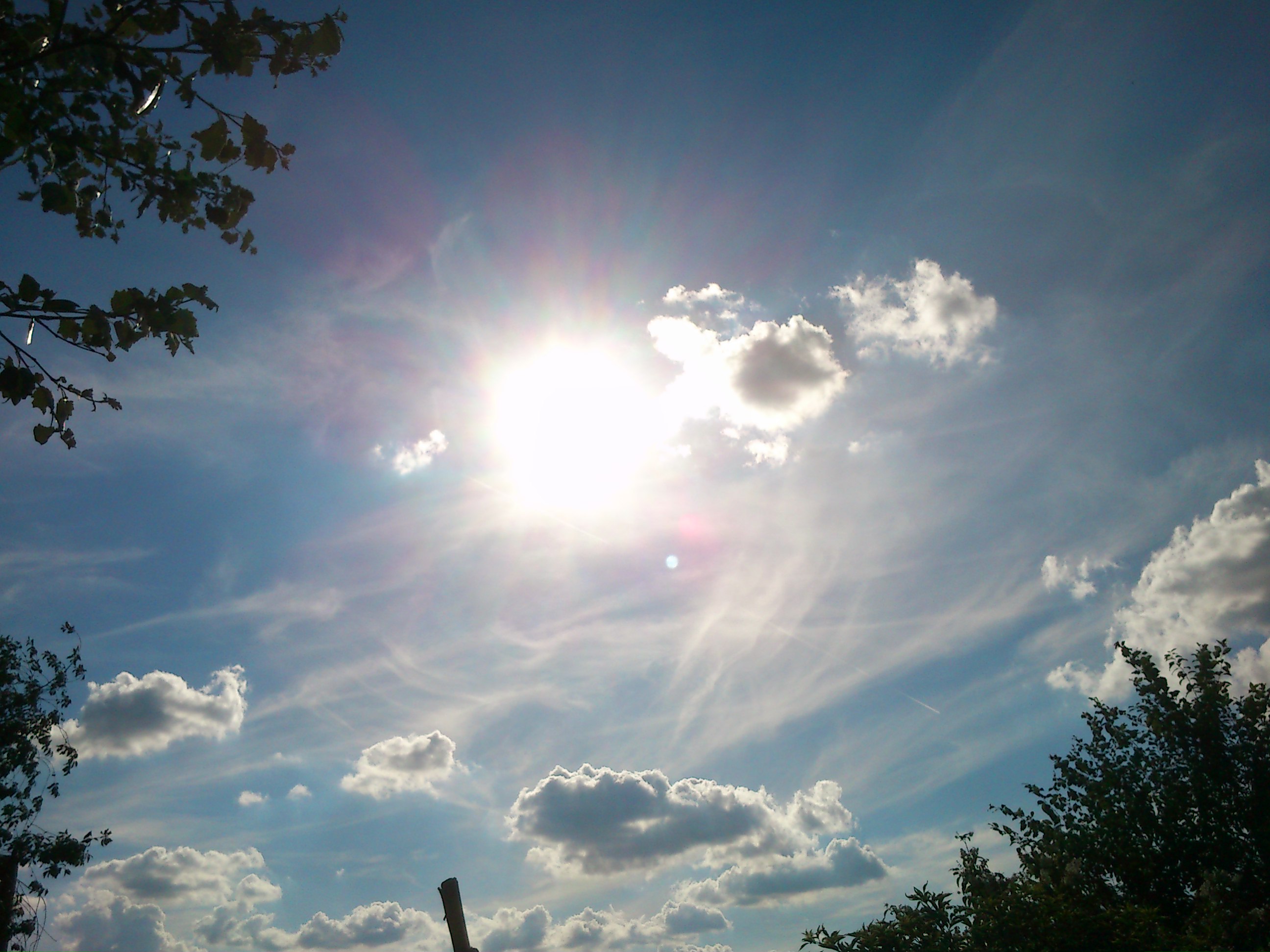 DSC_0067.JPG